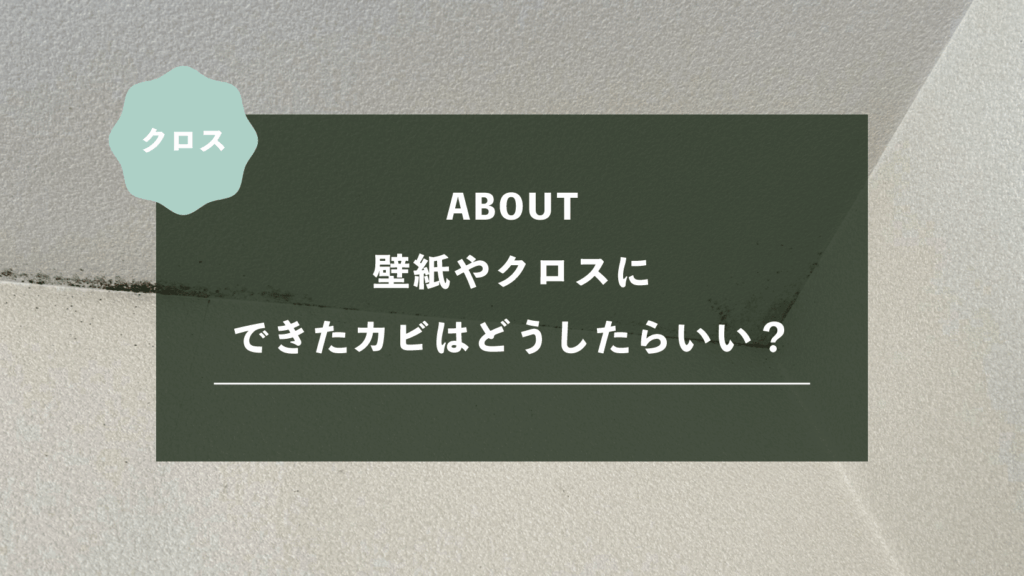 壁紙・クロスにできたカビはどうしたらいい？原因・掃除方法・張り替えと予防策を解説