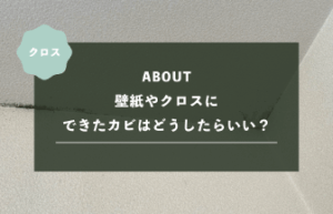 壁紙・クロスにできたカビはどうしたらいい？原因・掃除方法・張り替えと予防策を解説