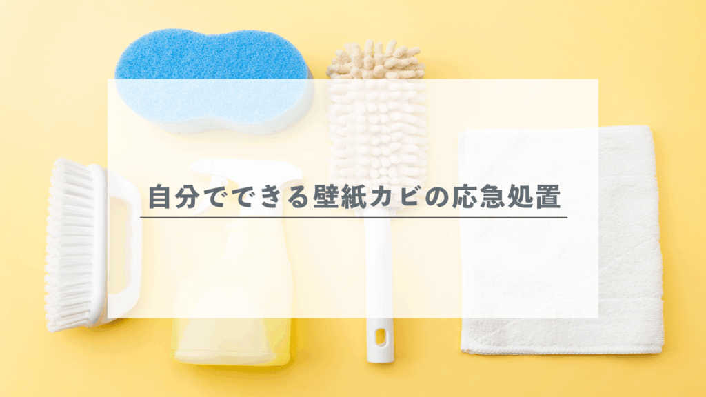 自分でできる壁紙カビの応急処置