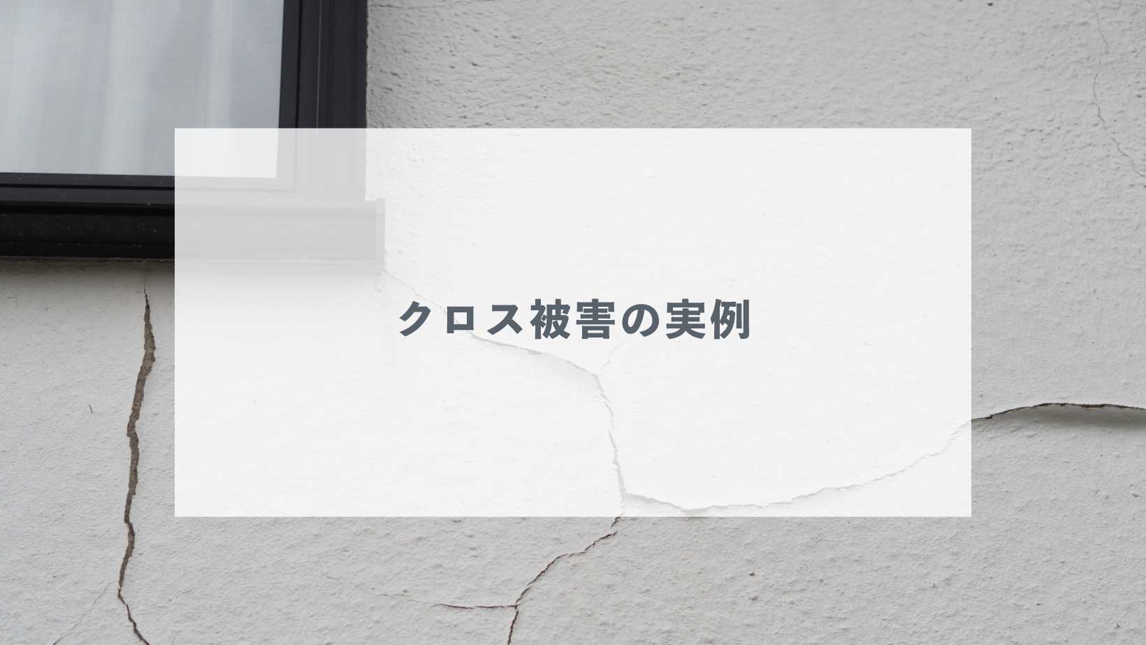 自然災害によるクロス被害の実例