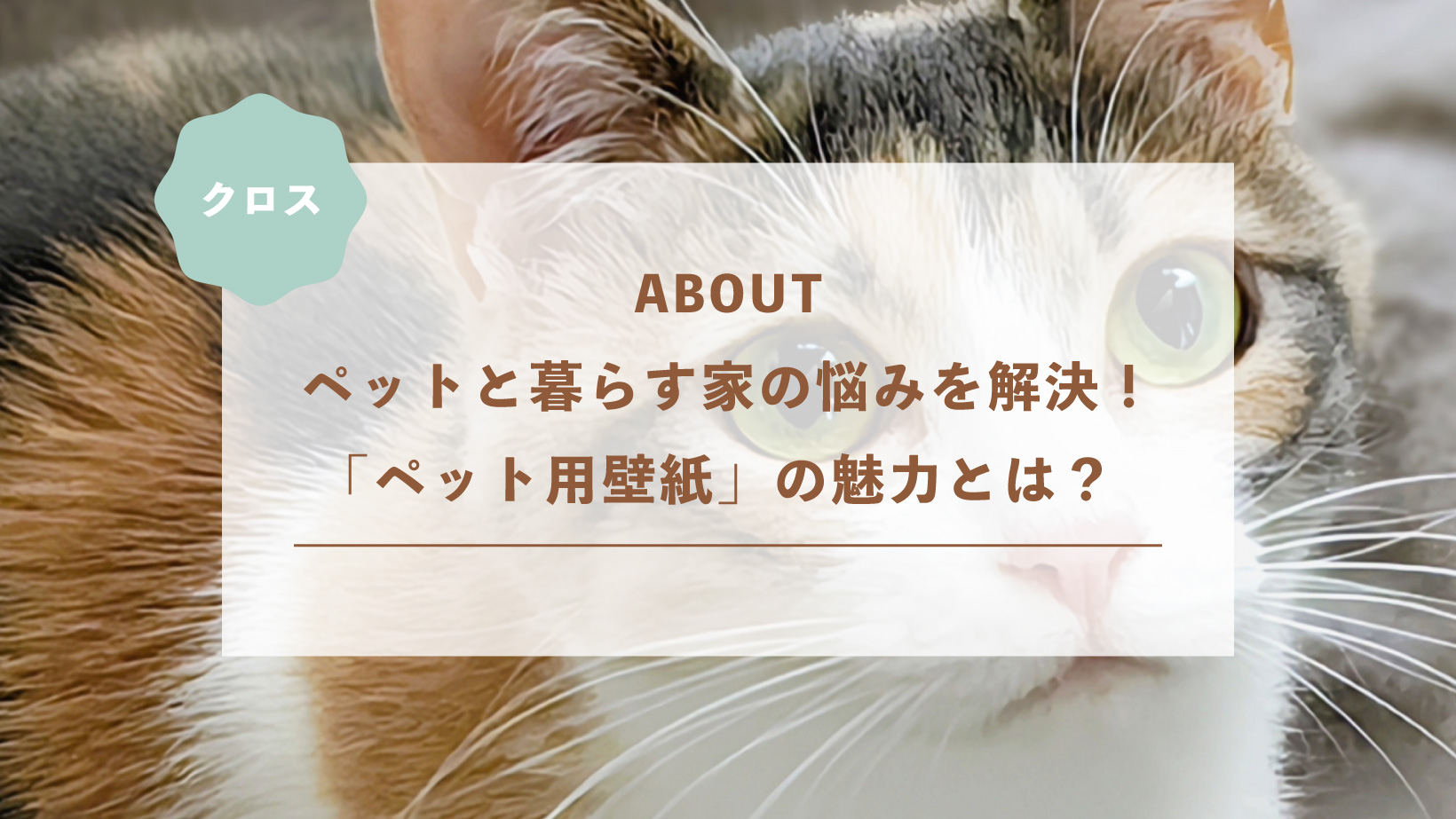 ペットと暮らす家の悩みを解決！「ペット用壁紙」の魅力とは？