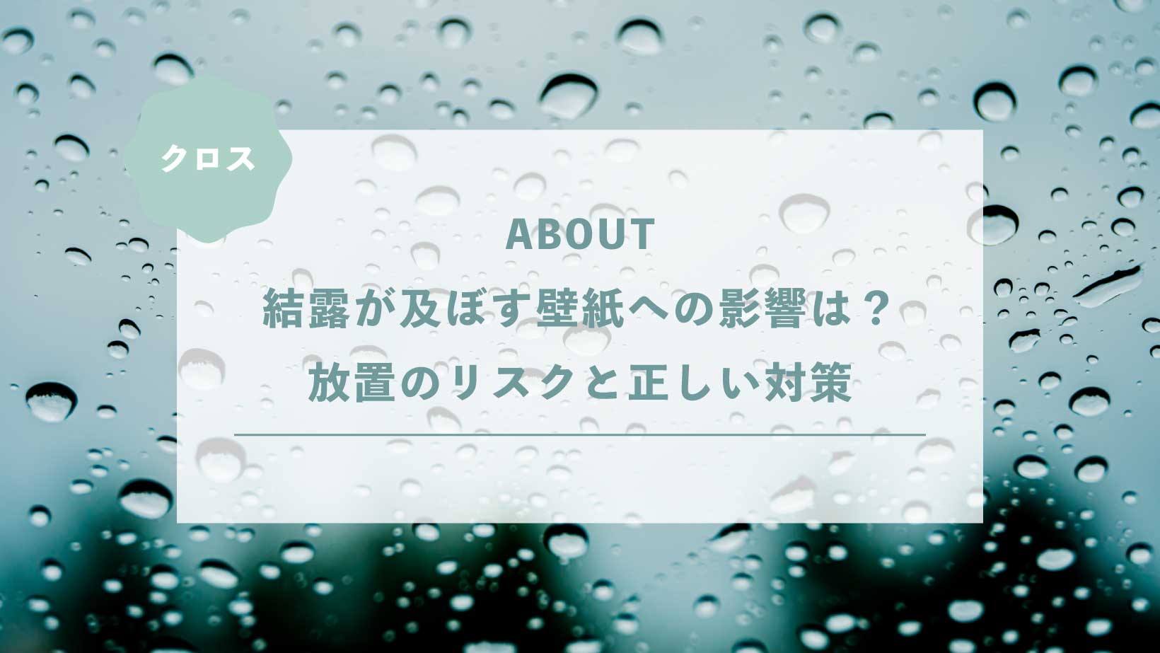 結露が及ぼす壁紙への影響は?放置のリスクと正しい対策を解説