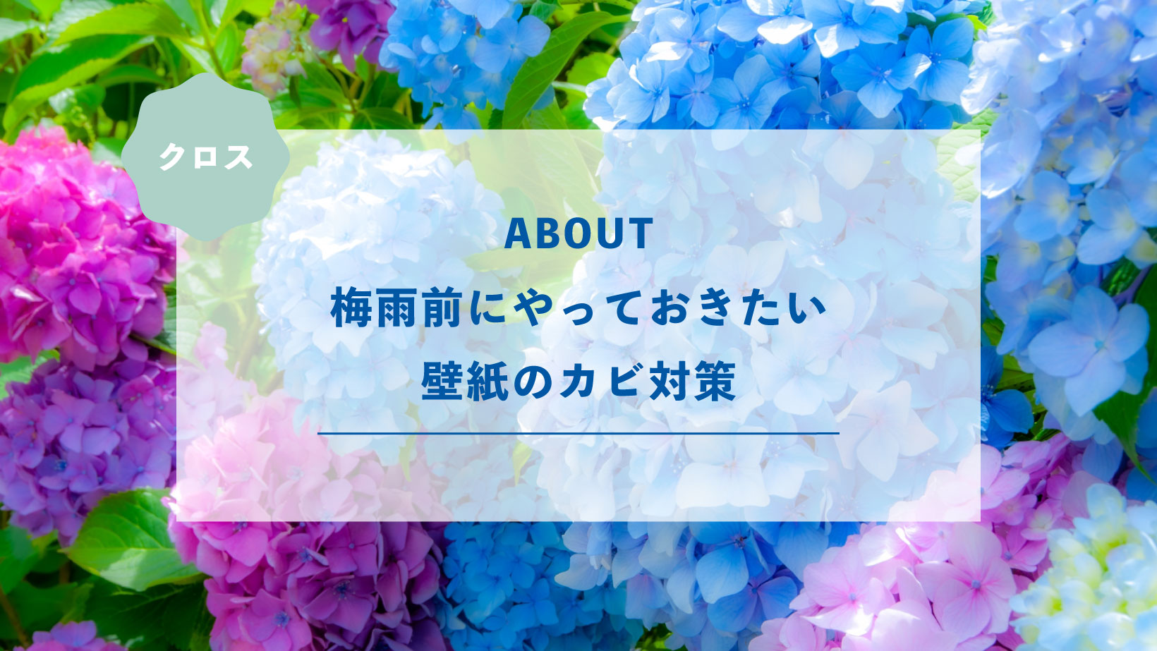 梅雨前にやっておきたい壁紙のカビ対策
