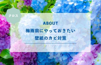 梅雨前にやっておきたい壁紙のカビ対策