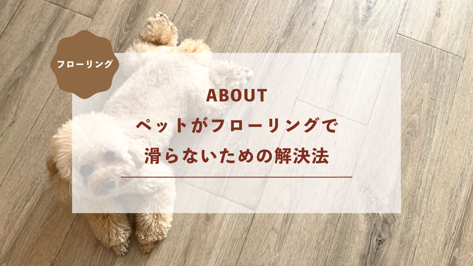 ペットがフローリングで滑らないための解決法